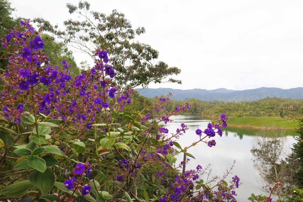 Ecolodge Bahia Del Penon Guatapé Esterno foto