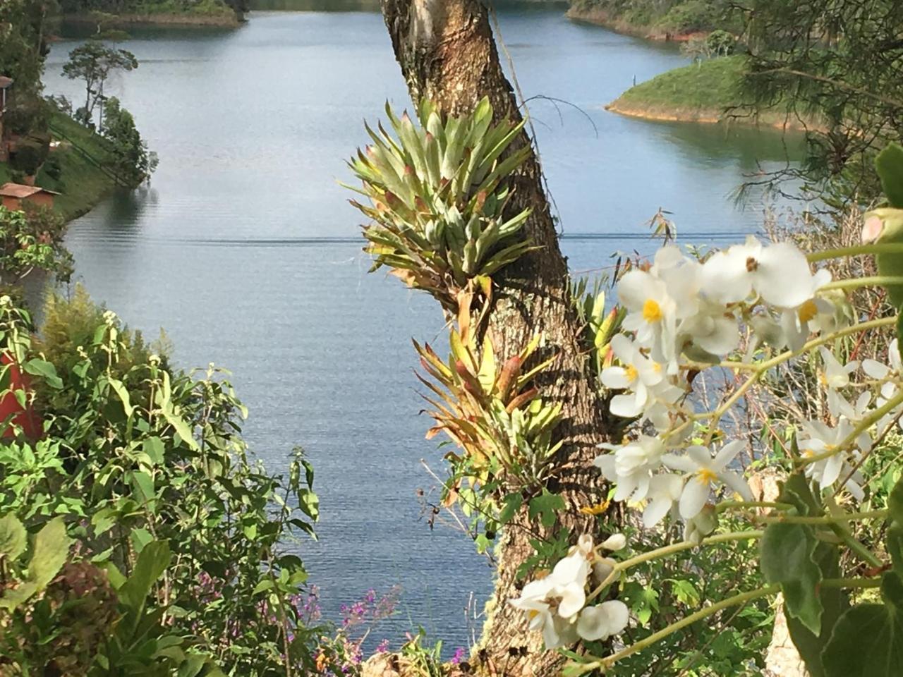 Ecolodge Bahia Del Penon Guatapé Esterno foto