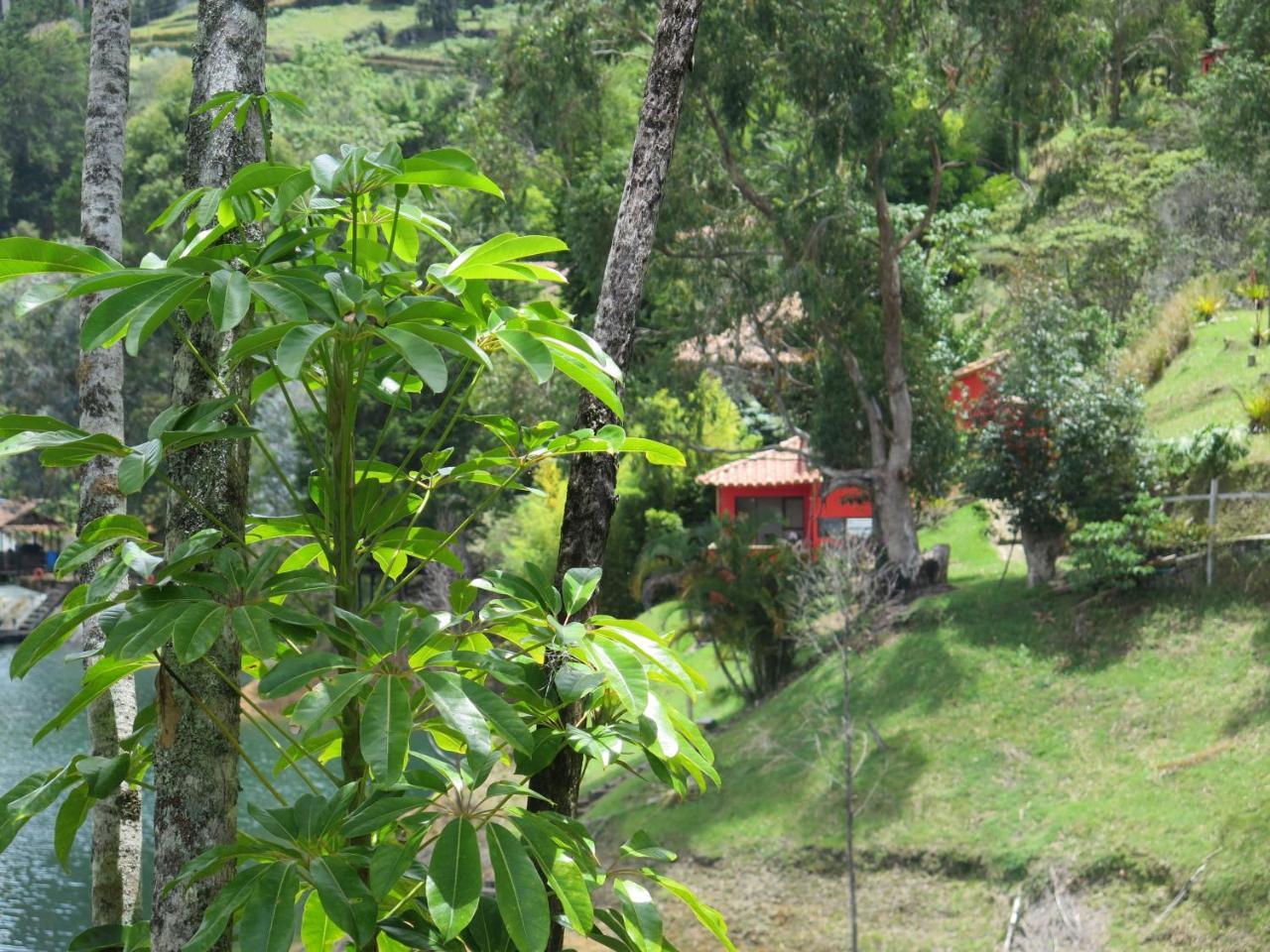 Ecolodge Bahia Del Penon Guatapé Esterno foto
